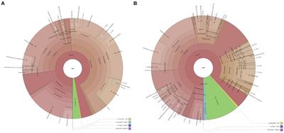 Correlation between the gut microbiota characteristics of hosts with severe acute pancreatitis and secondary intra-abdominal infection